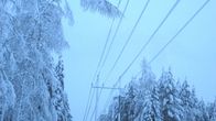 Lumisia puunoksia sähkölinjan yllä