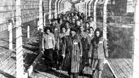 Auschwitzin leiri vapauttamisen jälkeisenä päivänä.