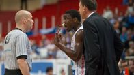 Bisons - Kataja.