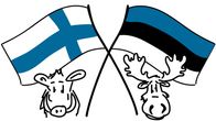 Kysymyksiä Virosta
