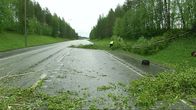 Tuulituhoja myrskyn jäljiltä.