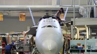 Hornet huolto