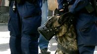 Poliiseja ja poliisikoira lauantain mielenosoituksessa Jyväskylässä.