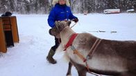 Anders Nils K. Eira SVL-N heargevuodjinlávdegoddi heargevuodjin