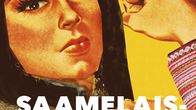 Saamelaiskiista-kirjan kansi