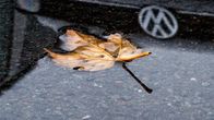 Yhtiön logo heijastuu vesilätäköstä Volkswagenin tehtaan parkkipaikalla Wolfsburgissa.