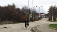 Storskog