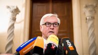 Saksan ulkoministeri Frank Steinmeier 24. marraskuuta 2015.