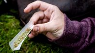 Kannabissätkä.