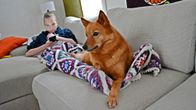 Kajaanilainen Juuso Piirainen ja Nuppu-koira.