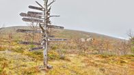 Pallaksen nammalakurusta, taustalla uusi metsähallituksen varaustupa.