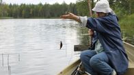 Nainen esittelee onkimaansa ahventa.