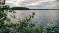 Viinijärvi ja Suuri-Myhkyrän saari.