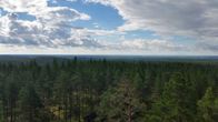 Rokuan korkein kohta Pookivaara kohoaa voin 195 metriä merenpinnan yläpuolelle. Maan kohoamisen ansiosta pieni nykyisen Itämeren edeltäjän, Ancylysjärven saari on nykyisin mäntypuiden ja jäkälän peittämien hiekkadyynien muodostama vaaramaisema.