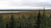 Kokonaapa.