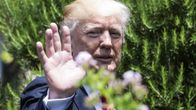 Donald Trump vilkuttaa pensaiden keskellä.
