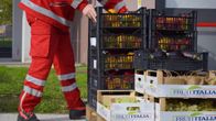 Milanon kaupunki aikoo puolittaa ruokahävikkinsä