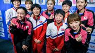 Etelä- ja Pohjois-Korean yhdistynyt joukkue.