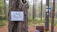 hautoja honkametsässä