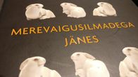 merevaigusilmadega jänes kirjan kansi