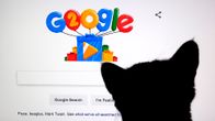 Kissa katselee Googlen hakusivua.