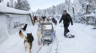 Itävaltalainen turisti huskysafarilla Harrinivan matkailukeskuksessa Muoniossa 2019.