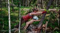 Kuva Touko Hujasen voittoisasta sarjasta "Metsäperhe".