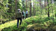 Kolme ihmistä kävelee metsässä