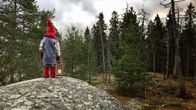 Tonttu lyhdyn kanssa metsässä