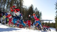 Ampumahiihto Kontiolahti