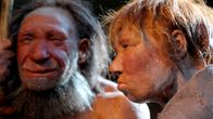 Neandertalinihmisen malleja.