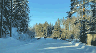 Peuroja juoksee tien yli. 