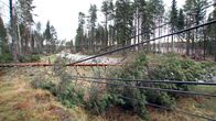 Sähkölinjojen päälle kaatuneita puita.