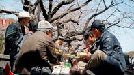 Japanilaiset eläkeläiset lounastavat Uenon puistossa Tokiossa.