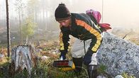 Ulkomainen marjanpoimija metsässä