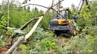 Energiapuun korjuuta