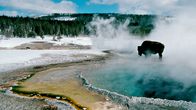 Kuva Avara Luonto -sarja jaksosta Yellowstonen talvi
