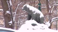 Porin karhupatsas talvella.