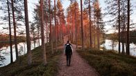 Tiilikkajärven kansallispuistossa Rautavaaralla on hyvät puitteet esimerkiksi retkeilyyn.