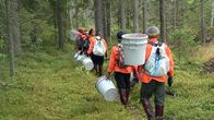 Thaimaalaiset marjanpoimijat kantavat marjasankoja metsässä.