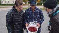 Veikko Kostiander esitteli keräämäänsä karpalosaalista.