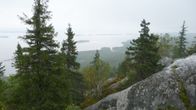 Koli. 
