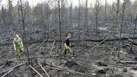 Ruotsalaiset metsänvartijat tarkastavat aluetta Seglinsbergissä Ruotsissa 6. elokuuta 2014.