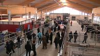 Ihmisiä haahuilee levottomina pihaton avajaisissa