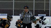 Anne Haanpää