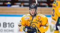 Janne Niskala, Lukko-puolustaja