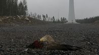 Kuvassa kuollu tmerikotka tuulivoimalan edessä