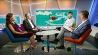 Sari Lounasmeri, Hannu Leinonen ja Topi Miettinen.