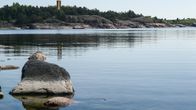 Vallisaaren edustaa Helsingissä