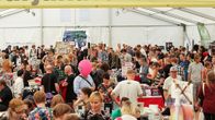 Helsingin sarjakuvafestivaalit on Pohjoismaiden suurin sarjakuvatapahtuma. Kuva on vuonna 2015 järjestetyiltä festivaaleilta. 